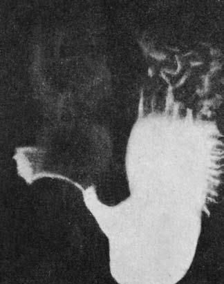 Коллектив авторов - Избранные лекции по факультетской хирургии: учебное пособие