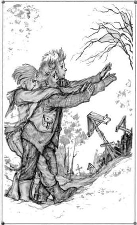 Кирилл Алексеев - Пожиратель мух