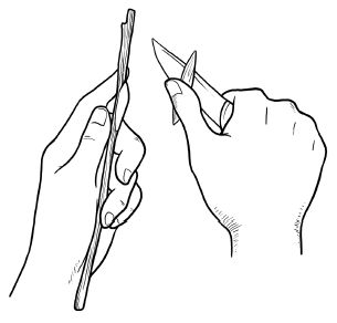 Галина Серикова - Прививка плодовых деревьев: распространенные ошибки и секреты...