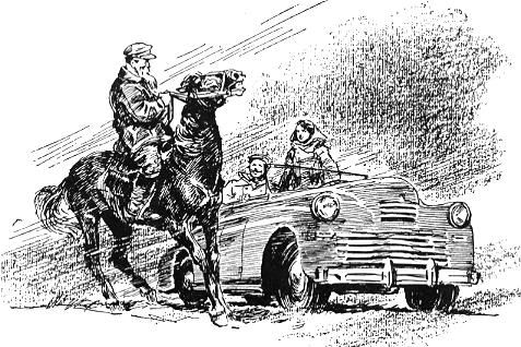 Николай Томан - Просчет мистера Бергоффа (с иллюстрациями)