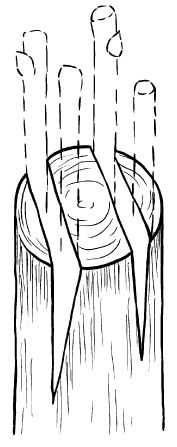 Галина Серикова - Прививка плодовых деревьев: распространенные ошибки и секреты...