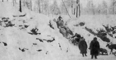 Сергей Обручев - В неизведанные края