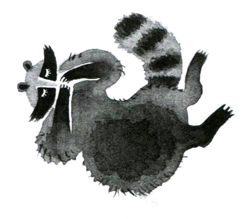 Пал Бекеш - Барсук с нашего двора