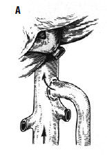 Коллектив авторов - Избранные лекции по факультетской хирургии: учебное пособие