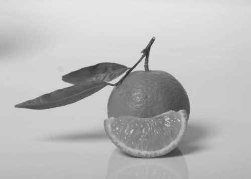 Ольга Зьомко, Дмитрий Сухаревский - Как заработать на фотографии в Интернете