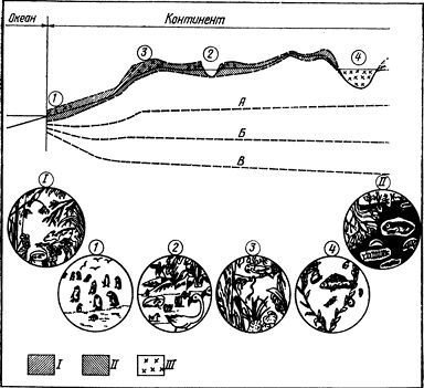 Андрей Лапо - Следы былых биосфер, или Рассказ о том, как устроена биосфера и...