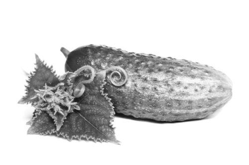 Ольга Зьомко, Дмитрий Сухаревский - Как заработать на фотографии в Интернете