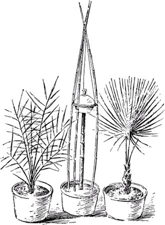 Жан-Анри Фабр - Жизнь насекомых. Рассказы энтомолога