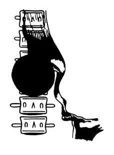 Коллектив авторов - Избранные лекции по факультетской хирургии: учебное пособие