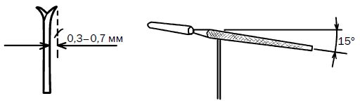 Прививка плодовых деревьев:...