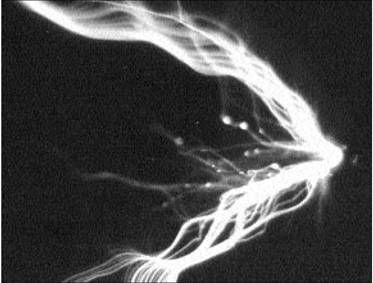 Геннадий Разумов - Атлантиды земли и морей