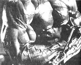 Арнольд Шварценеггер, Билл Доббинс - Новая энциклопедия бодибилдинга. Кн.2....