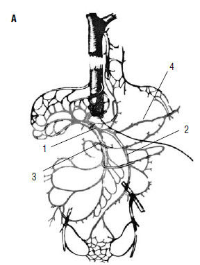 Коллектив авторов - Избранные лекции по факультетской хирургии: учебное пособие