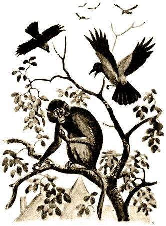 Владимир Дуров - Пернатые артисты