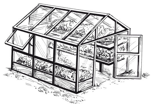 Елена Шкитина - Выращивание основных видов овощных культур. Технология богатых...