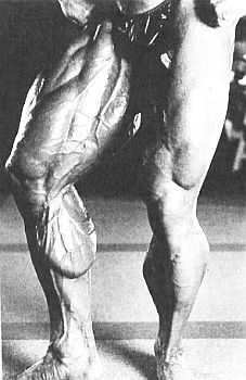 Арнольд Шварценеггер, Билл Доббинс - Новая энциклопедия бодибилдинга. Кн.2....