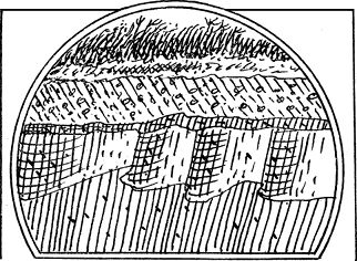 Андрей Лапо - Следы былых биосфер, или Рассказ о том, как устроена биосфера и...