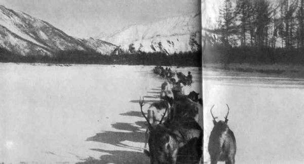 Сергей Обручев - В неизведанные края