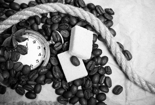 Ольга Зьомко, Дмитрий Сухаревский - Как заработать на фотографии в Интернете