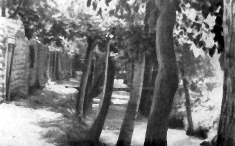 Роальд Потапов - Неведомый Памир