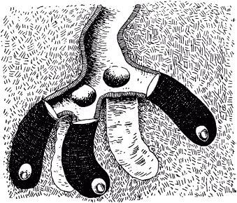 Жан-Анри Фабр - Жизнь насекомых. Рассказы энтомолога