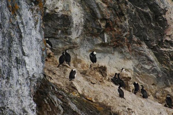 Владимир Ромашкин - Загадки исчезнувших цивилизаций. Часть I. Загадочная Антарктида