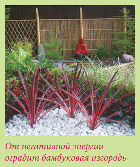 Мария Згурская - Китайский и японский сад