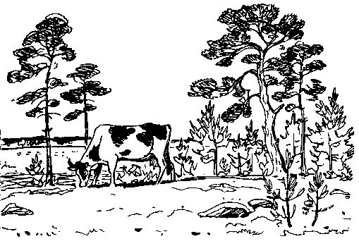 Анатолий Чехов - У самой границы