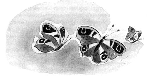 Пал Бекеш - Барсук с нашего двора