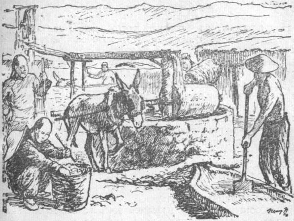 Владимир Обручев - Золотоискатели в пустыне