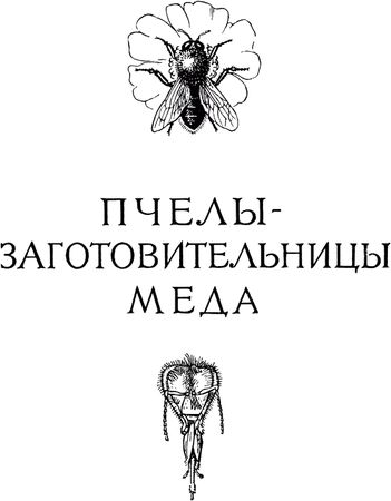 Жан-Анри Фабр - Жизнь насекомых. Рассказы энтомолога