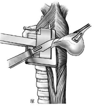 Коллектив авторов - Избранные лекции по факультетской хирургии: учебное пособие