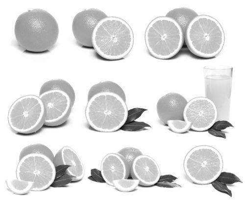 Ольга Зьомко, Дмитрий Сухаревский - Как заработать на фотографии в Интернете