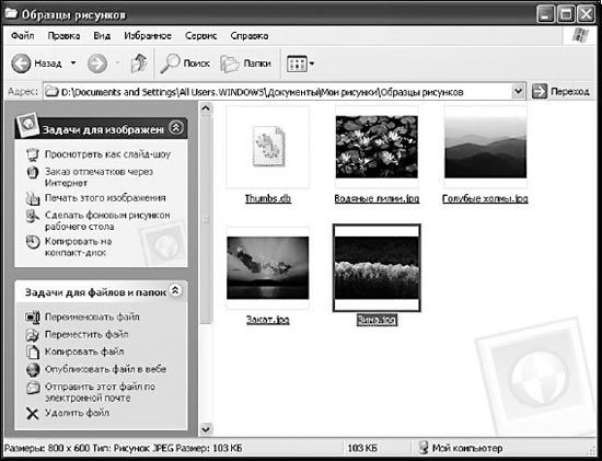 Виталий Леонтьев - Windows XP