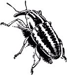 Жан-Анри Фабр - Жизнь насекомых. Рассказы энтомолога