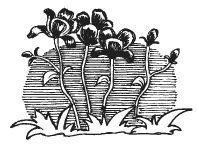 Еще раз про любовь. Стихи русских...