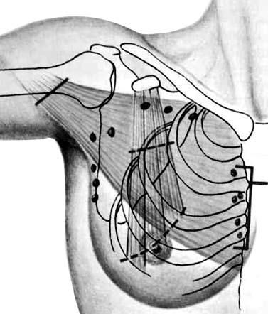 Коллектив авторов - Избранные лекции по факультетской хирургии: учебное пособие