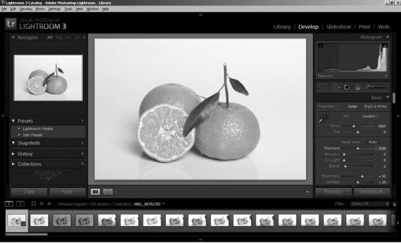 Ольга Зьомко, Дмитрий Сухаревский - Как заработать на фотографии в Интернете