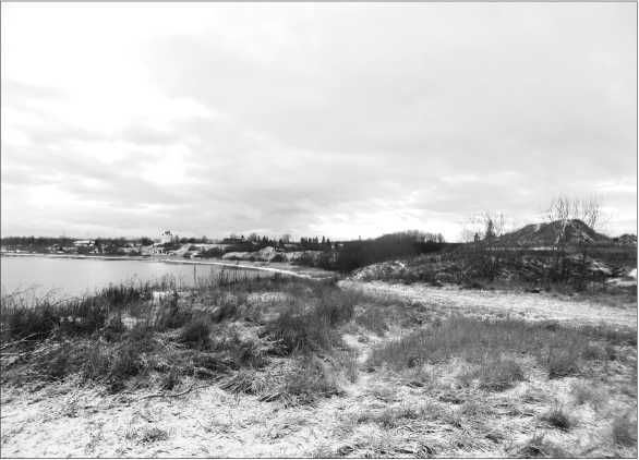 Петр Сорокин - Окрестности Петербурга. Из истории ижорской земли