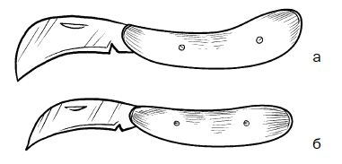 Галина Серикова - Прививка плодовых деревьев: распространенные ошибки и секреты...