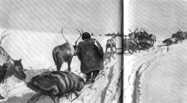 Сергей Обручев - В неизведанные края