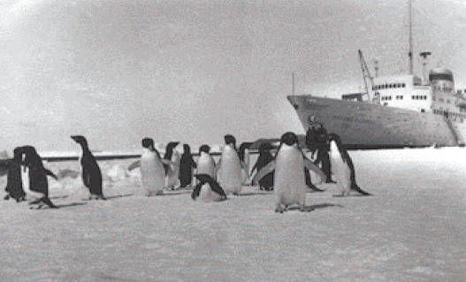 Игорь Зотиков - Зимние солдаты