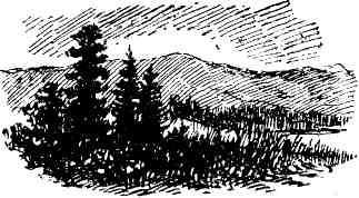 Александр Шмаков - Петербургский изгнанник. Книга вторая