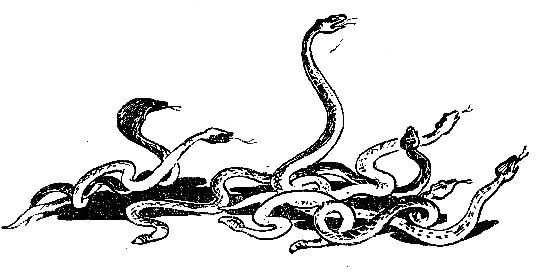 Яков Левант, Юрий Котляр и др. - Схватка с химерами. Выпуск второй. Чудовище...