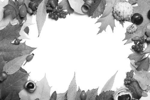 Ольга Зьомко, Дмитрий Сухаревский - Как заработать на фотографии в Интернете