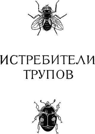 Жан-Анри Фабр - Жизнь насекомых. Рассказы энтомолога