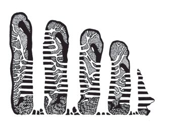 Ирэн Роздобудько - Лицей послушных жен (сборник)