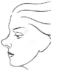 Теодор Шварц - Читаем лица. Физиогномика