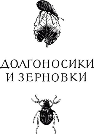Жан-Анри Фабр - Жизнь насекомых. Рассказы энтомолога