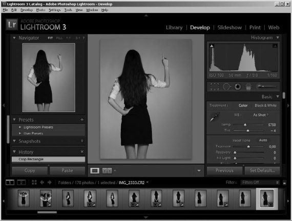 Ольга Зьомко, Дмитрий Сухаревский - Как заработать на фотографии в Интернете
